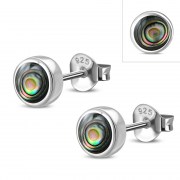 Abalone Shell Sterling Silver Stud Earrings - e364